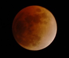 WRE 0327 crop