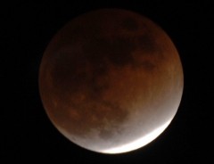 WRE 0342 crop