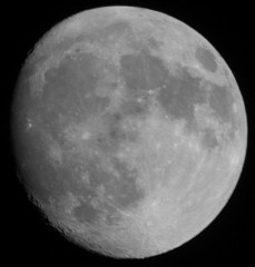 moon 7682 ws
