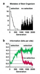 ts ev fig2