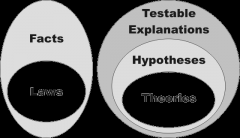 venn diagram theory law 100