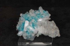 wre 1102 gamma ws wre 1102 gamma ws